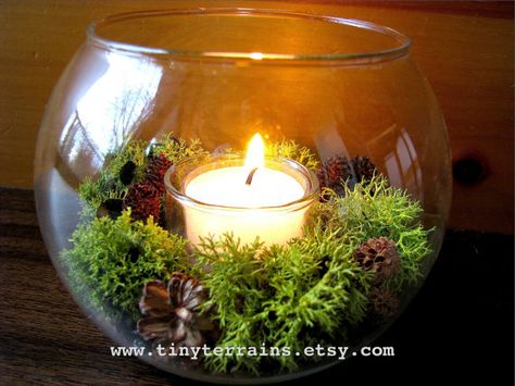 Terrarium With Candles, Lichen Terrarium, Moss Candle, Christmas Flower Decorations, Dinner Centerpieces, Backyard Wedding Ceremony, Fantasy Party, Clay Christmas Decorations, Christmas Wallpaper Backgrounds