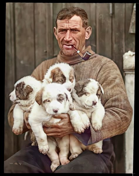 Endurance Ship, Sailor Aesthetic, Old Ireland, Ireland History, Litter Of Puppies, County Galway, Erin Go Bragh, Irish Cottage, Animal Help