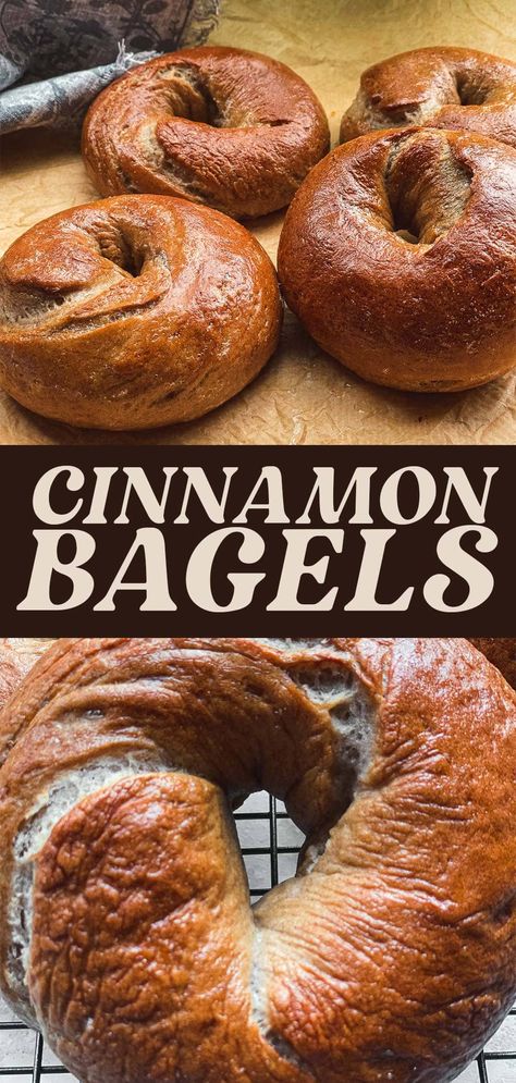 Eggless Bagels, Comforting Breakfast, Cinnamon Bagels, Healthy Bagel, Bagel Recipe Easy, Vegan Bagel, Bagels Recipe, Easy To Bake, Homemade Bagels