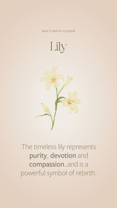 The timeless lily represents devotion, purity and compassion...and is a powerful symbol of rebirth. It’s also one of May’s birth flowers! Compassion Symbol, Flowers Symbolism, Flowers Language, Lily Meaning, Lillies Flowers, Shakti Yoga, Flower Symbolism, May Birth Flower, May Birth Flowers