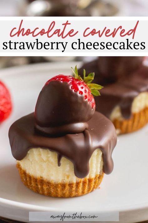 Cheesecake Covered Strawberries, Chocolate Covered Strawberry Cheesecake Bites, Cupcake Size Cheesecake Recipes, Valentines Cheesecake Bites, Cheesecake Chocolate Covered Strawberry, Chocolate Covered Strawberry Desserts, Strawberry Chocolate Recipes, Strawberry Chocolate Cheesecake, Chocolate Covered Strawberry Cupcakes