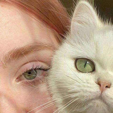 Beautiful Eyes Color, Cute Little Kittens, 인물 드로잉, Aesthetic Eyes, Cat Aesthetic, Eye Art, Pretty Eyes, Cute Selfie Ideas, Pretty Cats