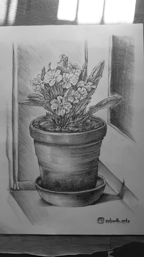 Flowerpot Drawings, Pot Sketch Drawing, Flower Pot Drawing Pencil, Flower Pot Sketch, Pot Sketch, Easy Still Life Drawing, Easy Charcoal Drawings, Flower Pot Drawing, Sketch Drawing Ideas