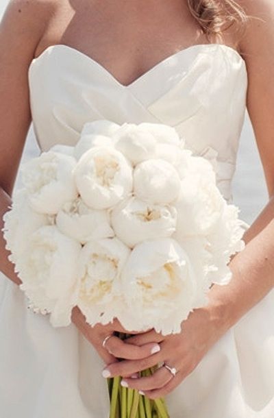 Opt for colorful bouquets for your bridesmaids if yours is all white, like this full bouquet of peonies. Simple Wedding Flowers, Bouquet Inspiration, All White Wedding, Bridal Guide, Blue Wedding Flowers, White Wedding Bouquets, Colorful Bouquet, Mod Wedding, White Peonies