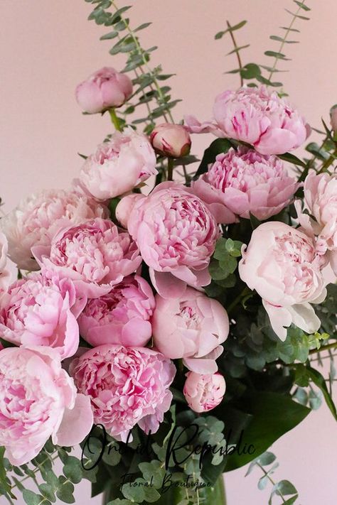 The prettiest pink peonies of the season freshly picked and artfully arranged with aromatic eucalyptus leaves. This lovely flower arrangement is presented in a stylish and slender glass vase lined with ti leaves. Featured Flowers: PeoniesRecommended for: Birthday, RomanceIncludes: Free Message Card Delivery: Guaranteed same-day flower delivery in Los Angeles and Orange County. Medium: 12 Peonies Flower Arrangements Peonies, Peonies Arrangement, Pastel Peonies, Tattoo Session, Pink Flower Arrangements, Peony Arrangement, Romantic Florals, Get Well Flowers, Flower Identification