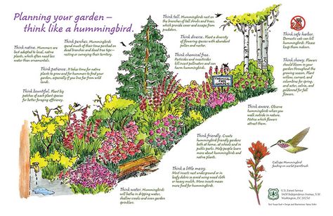 Posters : Nancy Seiler Pollinator Garden Design, Bee Friendly Garden, Habitat Garden, Pollinator Plants, Native Plant Gardening, Hummingbird Garden, Bee Garden, Bee Friendly, Wildlife Gardening