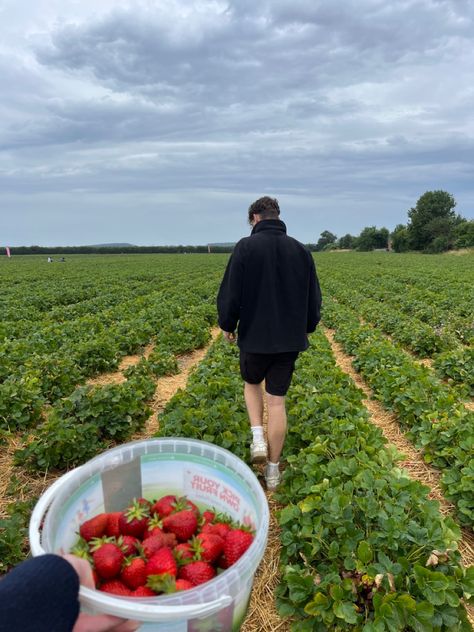 Strawberry picking date Old Money Date Ideas, Strawberry Picking Date, Things To Do In The Summer With Bf, Summer Activities Couples, Cute Summer Dates, Summer Dates With Boyfriend, Cute Summer Date Ideas, Date Ideas Cute, Couples Activity Ideas