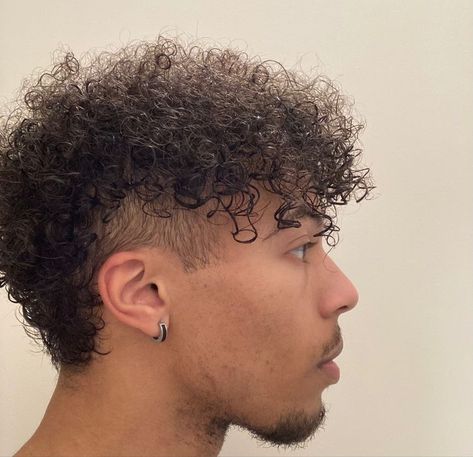 Curly Hair Mullet Men Black, Afro Mullet Men, Black Guy Mullet, Mullet Black Man, Curly Afro Hairstyles Men, Short Curly Mullet Mens, Curly Hair Men Mullet, Mullet Curly Hair Men, 3c Mullet