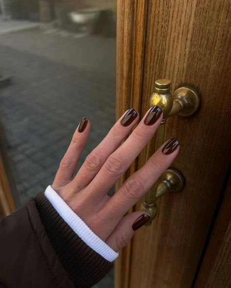 Brown Nail Polish, Brown Nails Design, Burgundy Nails, Nail Idea, Nagel Inspo, Fall Nail Colors, Brown Nails, Autumn Nails, Chic Nails