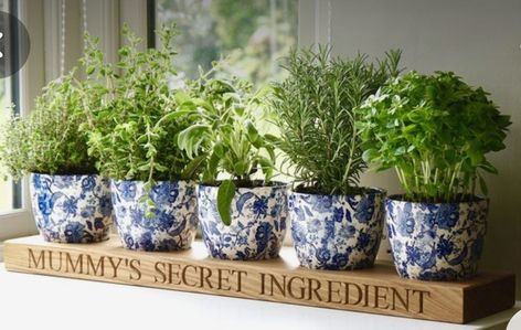 Kitchen Herb Garden Indoor, Wooden Herb Planter, New Patio Ideas, Herb Garden In Kitchen, Diy Herb Garden, Indoor Herb, Kitchen Plants, Kitchen Herbs, Inside Plants