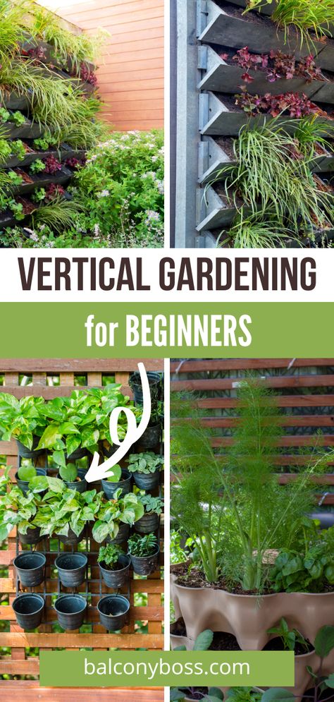 Small Sustainable Garden, Verticle Gardening Vegetables, Balcony Hacks, Birmingham House, Urban Gardening Balcony, Vertical Herb Gardens, Patio Herb Garden, Diy Vertical Garden, Beginners Gardening