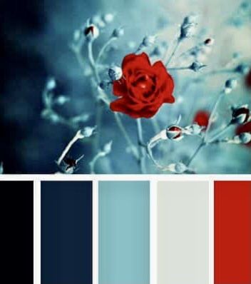 Rgb Palette, Black Color Palette, Red Colour Palette, Color Schemes Colour Palettes, Color Palate, Design Seeds, Blue Colour Palette, Color Palette Design, Red And Teal