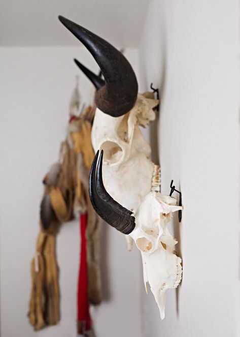 European Skull Mount, European Mounts, Euro Mounts, Elk Skull, European Mount, Den Decor, Deer Mounts, Buffalo Skull, Things I Need To Buy