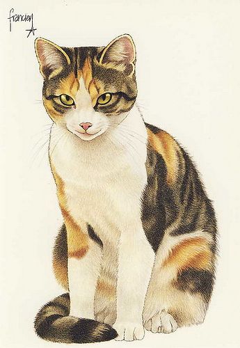 Cat Illustration Art, Cats Pics, Gato Calico, Cats Art Drawing, Beautiful Cats Pictures, Illustration Cat, Cute Cat Illustration, Cat Art Illustration, Cat Sketch