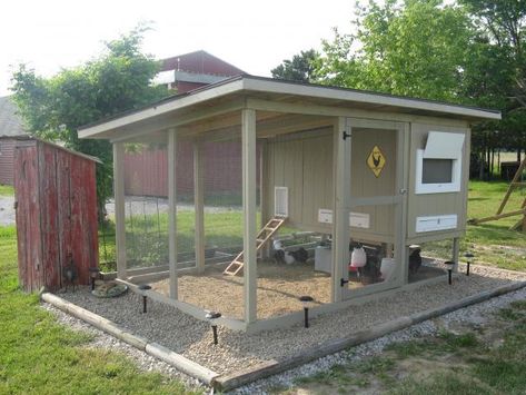 Dog Kennel Chicken Coop, Kennel Chicken Coop, Reban Ayam, Chicken Coop Ideas, Walk In Chicken Coop, Cute Chicken Coops, Small Chicken Coops, Backyard Chicken Coop Plans, Chicken Coup