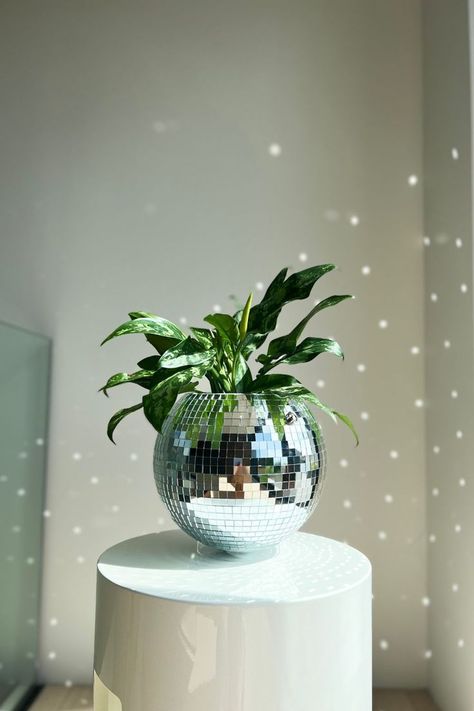 disco ball, disco balls, disco ball planter, disco palnter, hanging planters, hanging disco planter, mirrorball, dopamine decor,hanging plants, disco decor, taylor swift inspired things, gifts for girls, gifts for plant lovers, home decor ideas, interior design, disco pot, party decor, amazonmusthaves, retro decor, disco ball room decor, home decor, barbie decor, hype beast bedroom, fall signs, fall porch, home accessories, plantshelfie, fall planters, fall home decor, fall kitchen decor Disco Ball Planter, Funky Living Rooms, Disco Decorations, Western Rooms, Glamour Decor, Dopamine Decor, Bedroom Plants, Ultimate Christmas, Giant Flowers