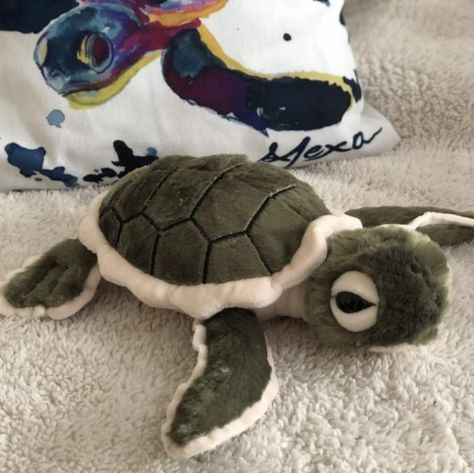 Save The Sea Turtles, Baby Sea Turtles, Cute Squishies, Turtle Plush, African Cichlids, Baby Turtles, A Turtle, Cute Stuffed Animals, Cute Plush