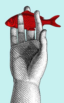 Fish in the hand Illustration Tumblr, Piero Fornasetti, Hand Images, Inspirational Art, Red Fish, Fish Art, Mail Art, 로고 디자인, Art Graphique