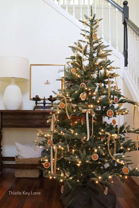 Vintage Pencil Christmas Tree, 12 Ft Christmas Tree Decorations, Tiny Christmas Tree Ideas, Slim Xmas Tree Decorating Ideas, 4ft Christmas Tree Decorating Ideas, Slim Christmas Tree Ideas Decorating, Flocked Trees Decorated, Christmas Tree On A Budget, Christmas Tree Inspiration Traditional