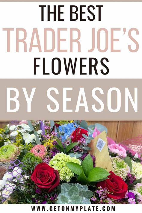 One of the biggest DEALS on the planet these days are Trader Joe's flowers! I am rounding up my favorites from the TJ's flower section! Trader Joe’s Flowers For Wedding, Fall Trader Joes Flowers, Trader Joe's Wedding Flowers, Trader Joes Fall Flowers, Trader Joe’s Wedding Bouquet Diy, Trader Joe’s Fall Flowers, Trader Joe’s Flowers Wedding, Diy Trader Joes Flower Bouquet, Trader Joe’s Wedding Flowers