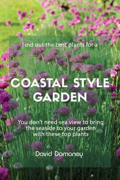 Top Ten Plants - David Domoney Coastal Gardens Uk, Beach Garden Design, Coastal Planting, Coastal Landscaping Ideas, Beach Theme Garden, Beach House Landscaping, Beach House Garden, Coastal Plants, Sand Garden