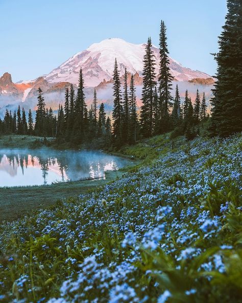 Wildflowers in the west coast. 🪻🌷🌸 Photos by @jhamilbader #takemoreadventures #washington #oregon #nationalpark #pnw #wilderness #adventure #mountains #outdoors #earthfocus #lake #hikingadventures #stayandwander #beautifuldestinations Oregon Pictures, Washington Mountains, More Adventures, Lake Photography, Mountain Photos, Architecture Concept Drawings, Landscape Photography Nature, Mountain Photography, Up Book