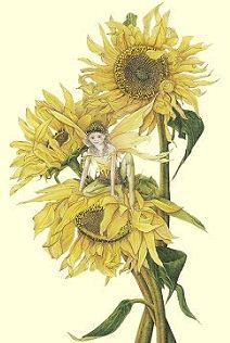 The Sunflower Fairy Copyright© 2004 Fairies World Sunflower Fairy, Manipura Chakra, Sunflower Images, Sunflowers And Daisies, Fairy Images, Moth Art, Elves And Fairies, Fantasy Pictures, Flower Fairies