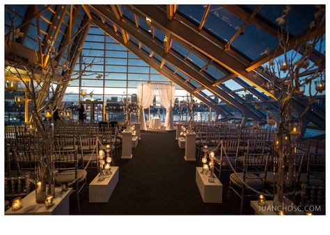 Adler Planetarium Wedding, Planetarium Wedding, Downtown At Night, Adler Planetarium, Chicago Wedding, Schmidt, The View, Wedding Venue, At Night