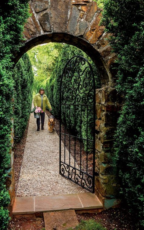 American Boxwood, Boxwood Landscaping, Arch Gate, Backyard Gates, Garden Gate Design, Iron Garden Gates, Walkway Landscaping, Landscaping Software, Southern Garden