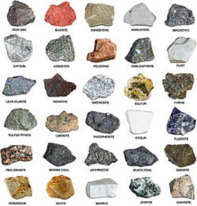 Examples of sedimentary rocks can be found around the world, but luckily, you don't have to travel. Uncover the types of sedimentary rocks with our list. Rock Identification Pictures, Geology Rocks Mineral, Types Of Rocks, Different Types Of Rocks, Raw Gemstones Rocks, Rock Identification, Rock Tumbling, Rock Hunting, Silicate Minerals