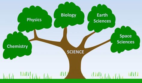 Branches of Science | Good Science Branches Of Chemistry, Environmental Chemistry, Branches Of Science, Green Chemistry, Conservation Biology, Modern Physics, Theoretical Physics, Physical Chemistry, Medical Laboratory Science