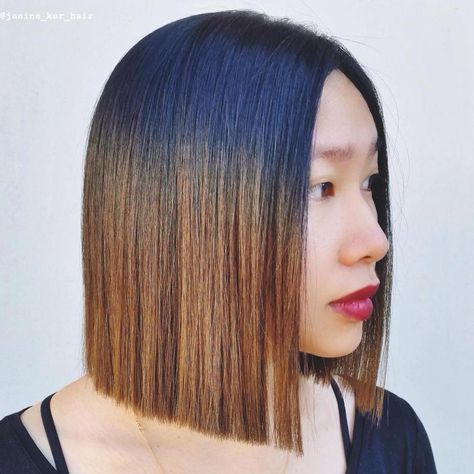 Black To Brown Ombre For Blunt Bob Triangular One Length, One Length Haircuts, Short Straight Hair, Trendy Haircuts, Trending Hairstyles, Short Bob Hairstyles, Straight Hair, Bobs Haircuts, Bob Hairstyles