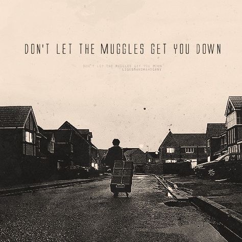 Don't let the muggles get you down. Harry Potter Ron And Hermione, Weasley Harry Potter, Harry Potter Friends, Ron Hermione, Harry Potter Background, Rowling Harry Potter, Facebook Cover Images, Harry Potter Hufflepuff, The Prisoner Of Azkaban