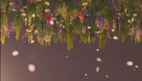 Fallin Flower, Flower Desktop Wallpaper, Twitter Header Pictures, Dino Seventeen, Flower Icons, Header Pictures, Seventeen Wallpapers, Seventeen Album, Macbook Wallpaper