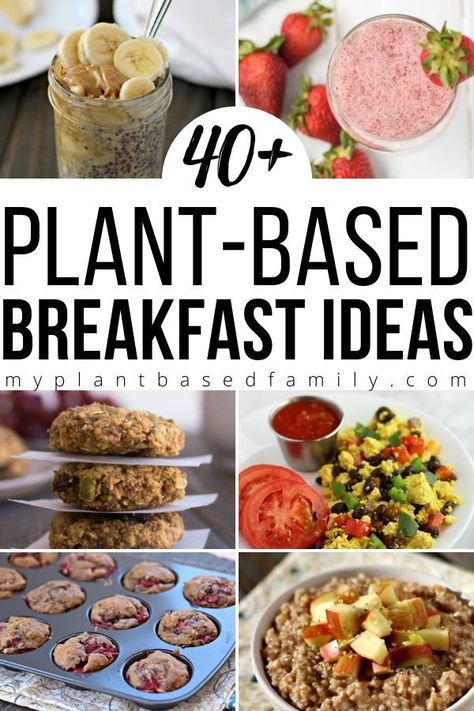 Plant Based Breakfast Recipes, Cold Breakfast, Vegan Plan, Plant Based Diet Meals, Plant Based Diet Meal Plan, Plant Based Recipes Breakfast, Plant Based Recipes Easy, Healthy Plant Based Recipes, Plant Based Diet Recipes