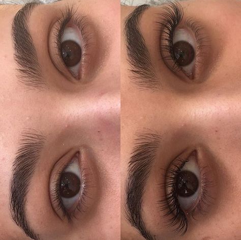 Lashes And Eyebrows, Natural Fake Eyelashes, Eyelash Extensions Styles, Perfect Eyelashes, Natural Eyelash Extensions, Long Eyelashes, Eyelash Extentions, Best Lashes, Natural Eyelashes