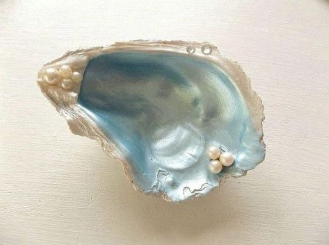 West End Girls, No Ordinary Girl, Oyster Shell Crafts, Coquille Saint Jacques, Pixie Hollow, Shell Crafts Diy, Mermaid Aesthetic, Shell Ring, Oyster Shells