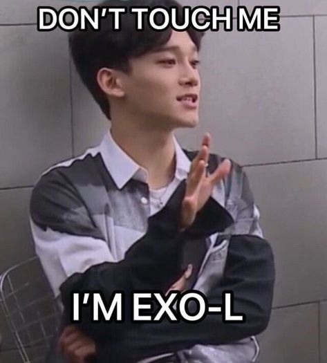 Exo Jokes, Exo Logo, Exo Meme, Exo Stickers, Exo Funny, Exo Kyungsoo, Exo Memes, Kim Jongdae, Funny Kpop Memes