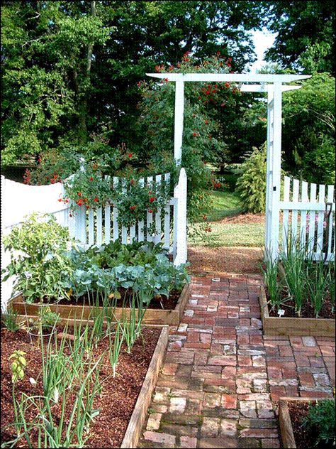 brick is nice Pretty Fence, Brick Pathway, Brick Walkway, Brick Garden, Potager Garden, Veg Garden, Have Inspiration, Vegetable Garden Design, Garden Pathway