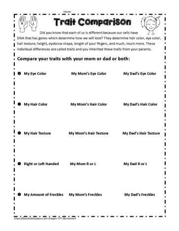 Story Sequencing Worksheets, Diagramming Sentences, Inherited Traits, Ngss Science, Sequencing Worksheets, Prepositional Phrases, Subtraction Word Problems, Third Grade Science, Letter Tracing Worksheets