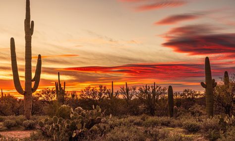 Western Sunset Aesthetic, Western Landscape Wallpaper, Sunset Desktop Wallpaper Hd 1080p, Western Cover Photos Facebook, Western Chromebook Wallpaper, Cowboy Desktop Wallpaper, Country Macbook Wallpaper, Desert Wallpaper Desktop, Western Cover Photos