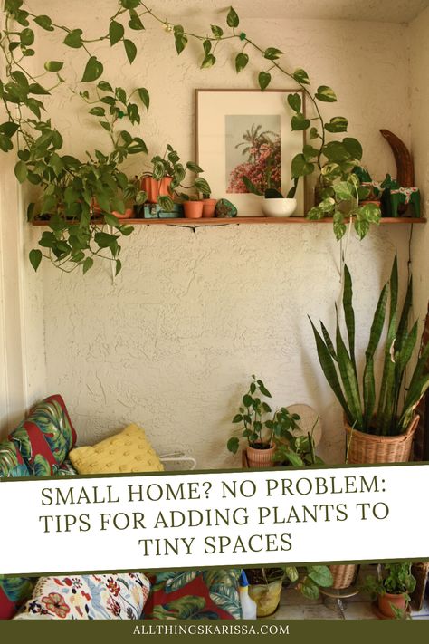 Do you have a small home but still want to bring some life into your living space with house plants? You're in luck! There are plenty of space-saving ways to add plants to even the tiniest of homes. Whether you opt for hanging plants, small pots, or creative planters, there's something for everyone who wants to add plants to their living area. Creative Planter Ideas Indoor, Small Apartment Plants, Outdoor Hanging Plants, Plants Wall Decor, Creative Planters, Hang Plants, Houseplants Decor, Wall Hanging Decorations, Plant Display Ideas