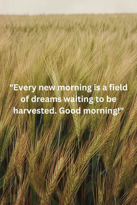 Discover a delightful collection of Good Morning Quotes with beautiful images that will inspire and motivate you every day. From the promise of a new beginning to the joy of greeting loved ones, our quotes capture the essence of starting the day right. Perfect for sharing on WhatsApp, these images are designed to brighten your mornings and those of your friends and family. Click on the website link to explore more uplifting quotes and add a touch of morning magic to your life. Good Morning Inspirational Quotes Wise Words, Positive Good Morning Quotes Inspiration Beautiful, Early Morning Quotes, Good Morning Quotes Inspirational, Faith Sayings, Morning Magic, Relax Quotes, Motivational Good Morning Quotes, Owl Drawing