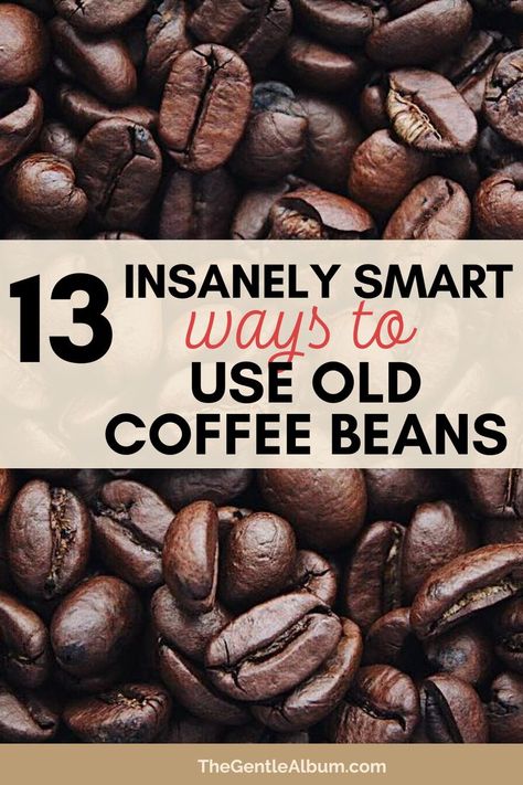 what to do with coffee beans Coffee Beans To Make House Smell Good, Coffee Project Ideas, Coffee Bean Diy Crafts, Coffee Bean Decor Diy, Smoked Coffee Beans, What To Do With Coffee Beans, Coffee Beans Crafts, Coffee Bean Crafts Diy Projects, Crafts With Coffee Beans