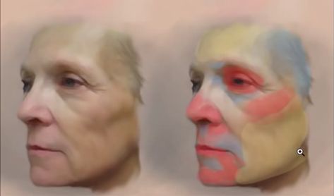 Face Color Zones, Shelly Duvall, Color Theory Art, Art Advice, Painting Art Lesson, Arte Inspo, Digital Painting Tutorials, Anatomy Art, Art Tutorials Drawing