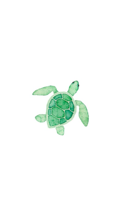 Sea Turtle Drawing, Beachy Wallpaper, Turtle Wallpaper, Ocean Drawing, Turtle Drawing, Adventure Time Wallpaper, Green Turtle, Fruit Painting, Iphone Wallpaper Photos