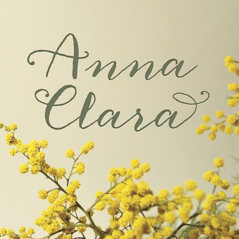 Anna Clara font Anna Clara, Theme Inspiration, Pretty Fonts, Learn Calligraphy, Hand Lettering Fonts, Great Fonts, Font Face, Name Wallpaper, Mail Art