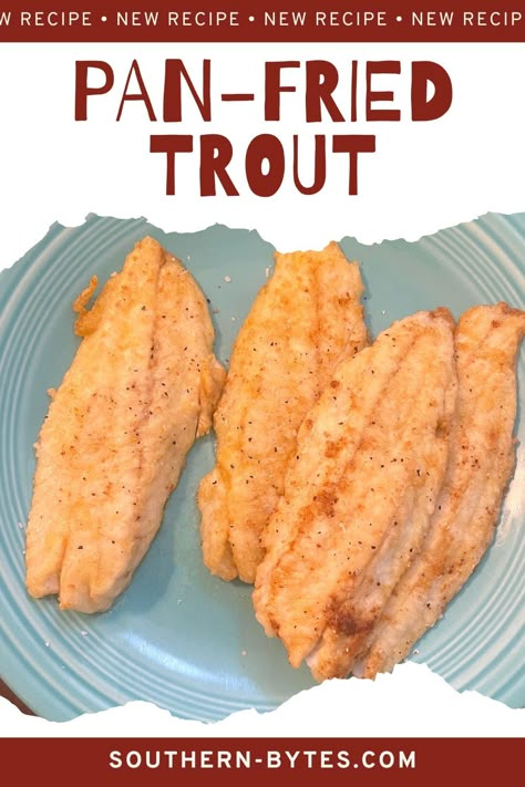 Pan Fried Trout Fillets, Pan Fried Trout Recipes, Trout Recipes Fried, Breaded Trout Recipes, Steelhead Trout Recipe Pan Fried, Pan Fried Trout With Skin, How To Cook Trout, Fried Trout Recipes, Trout Recipes Oven