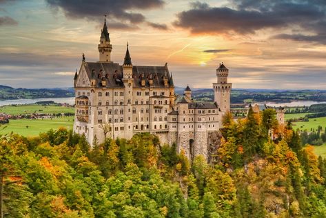 14 Castles in Germany You Need to Visit Fairytale Palace, Walt Disney Castle, Nuremberg Castle, Castles In Germany, Lichtenstein Castle, Hohenzollern Castle, Bavarian Alps, German Fairy Tales, Forest Backdrops