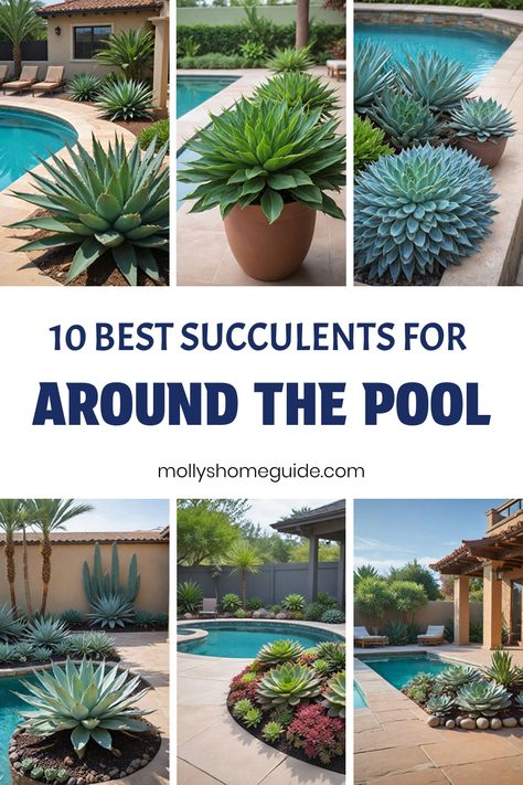 Transform your pool area into a stunning oasis with succulents around the pool. Enhance your landscape design with a potted garden around the pool or create a serene garden by the pool. Elevate your outdoor space with landscaping near the pool, incorporating succulent landscape design elements for a beautiful and low-maintenance setting. Discover creative ideas to incorporate succulents around your pool area today! Pool Patio Plants, Planters For Pool Area, Desert Landscape Around Pool, Succulent Pots Outdoor, Around Pool Decorating Ideas, Desert Garden Ideas Drought Tolerant, Low Maintenance Pool Landscaping, Pool Tropical Landscaping, Front Yard Succulent Landscaping